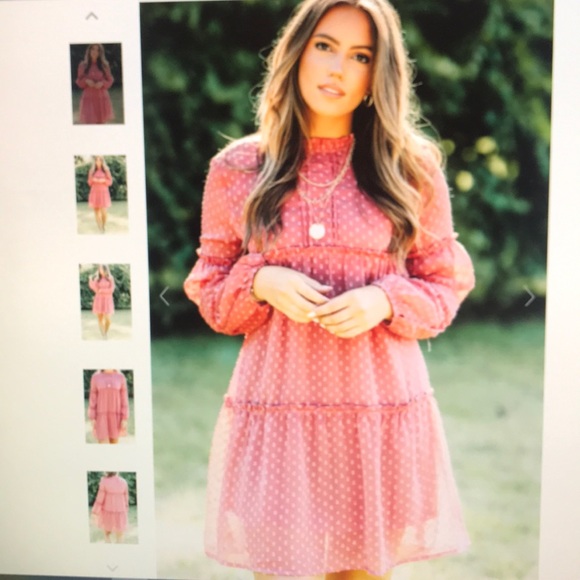 Watch and wait brick red Swiss dot dress - Picture 1 of 4